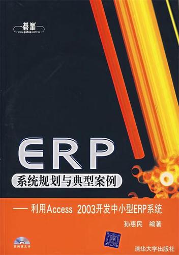 erp系统规划与典型案例:利用access 2003开发中小型erp系统 孙惠民